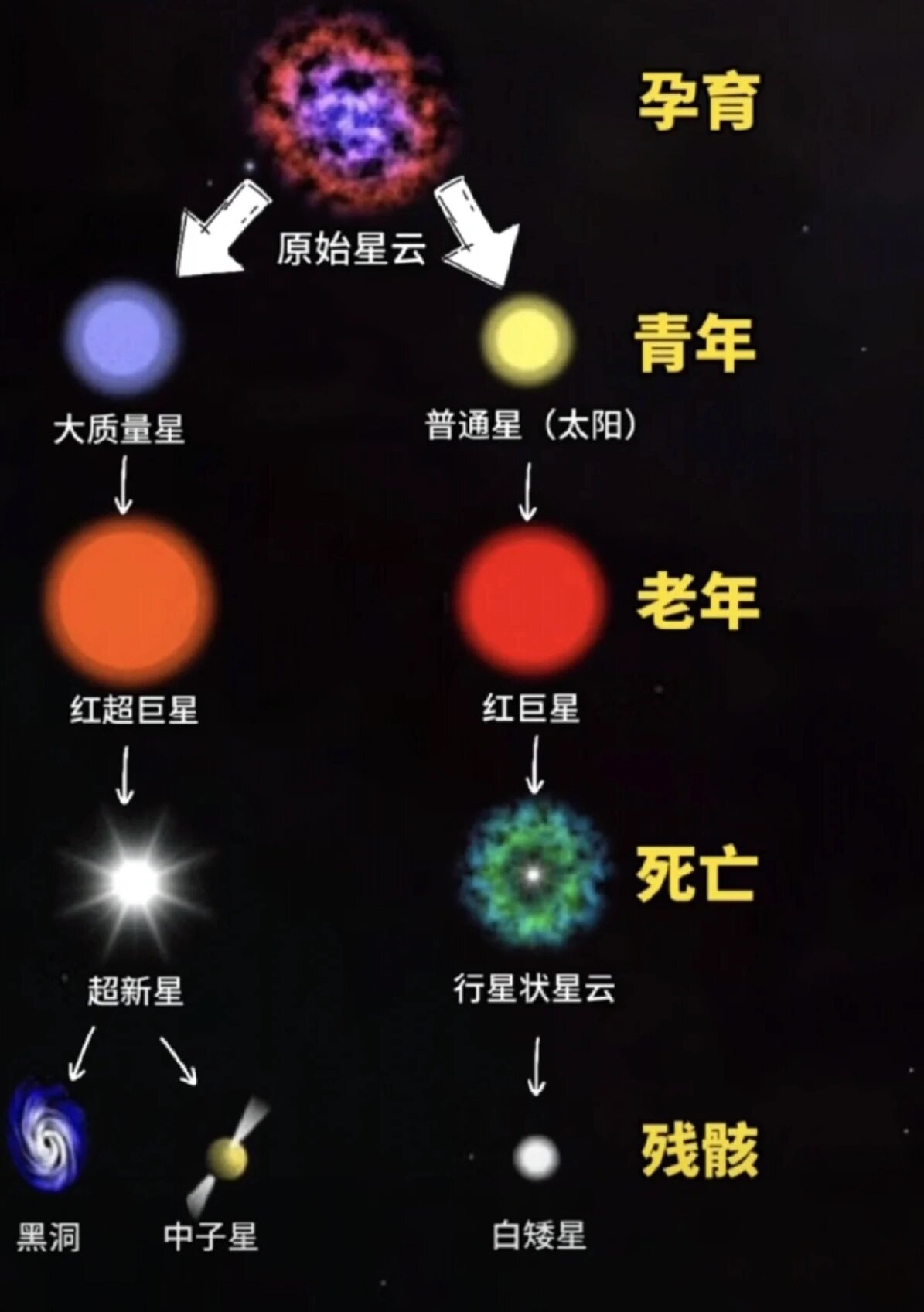 恒星的生命历程