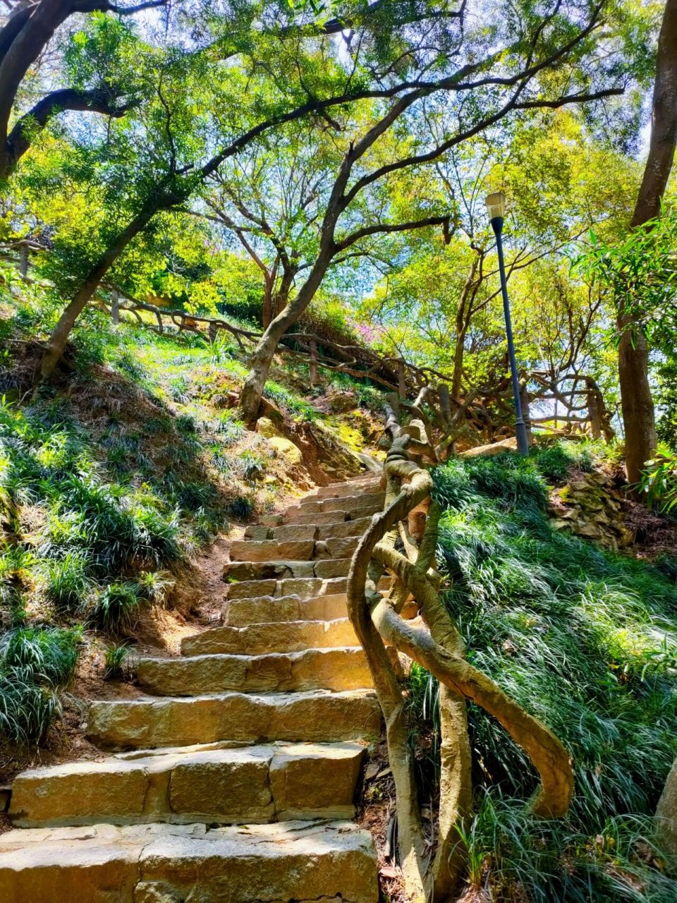 海沧大屏山郊野公园图片