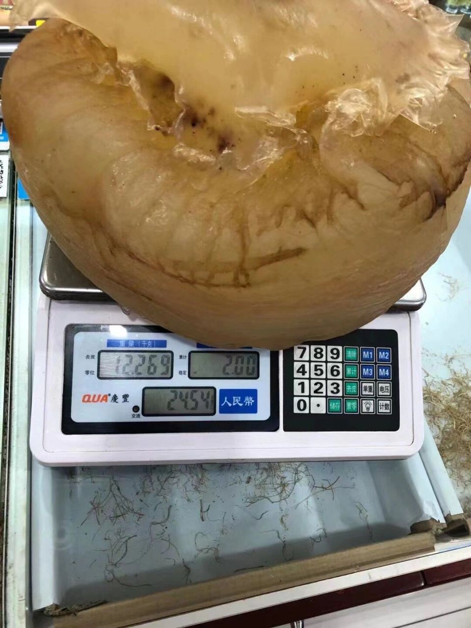 太岁又称肉灵芝,生长于地下 太岁的功效与作用 延缓衰老,维持代谢平衡