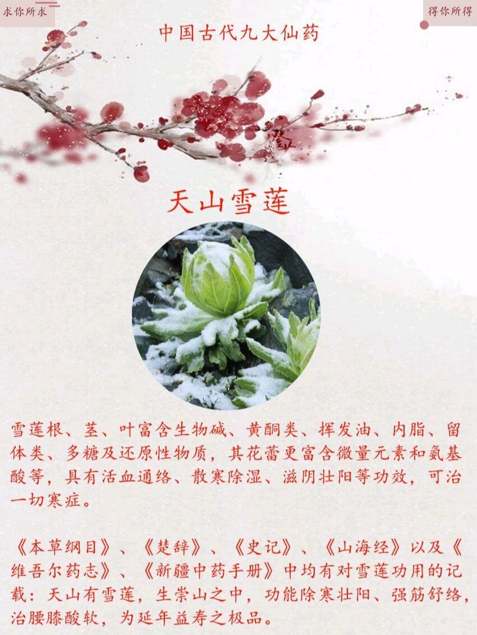 古代九大仙药 中华九大仙草是"石斛,天山雪莲,三两重人参,百二十年