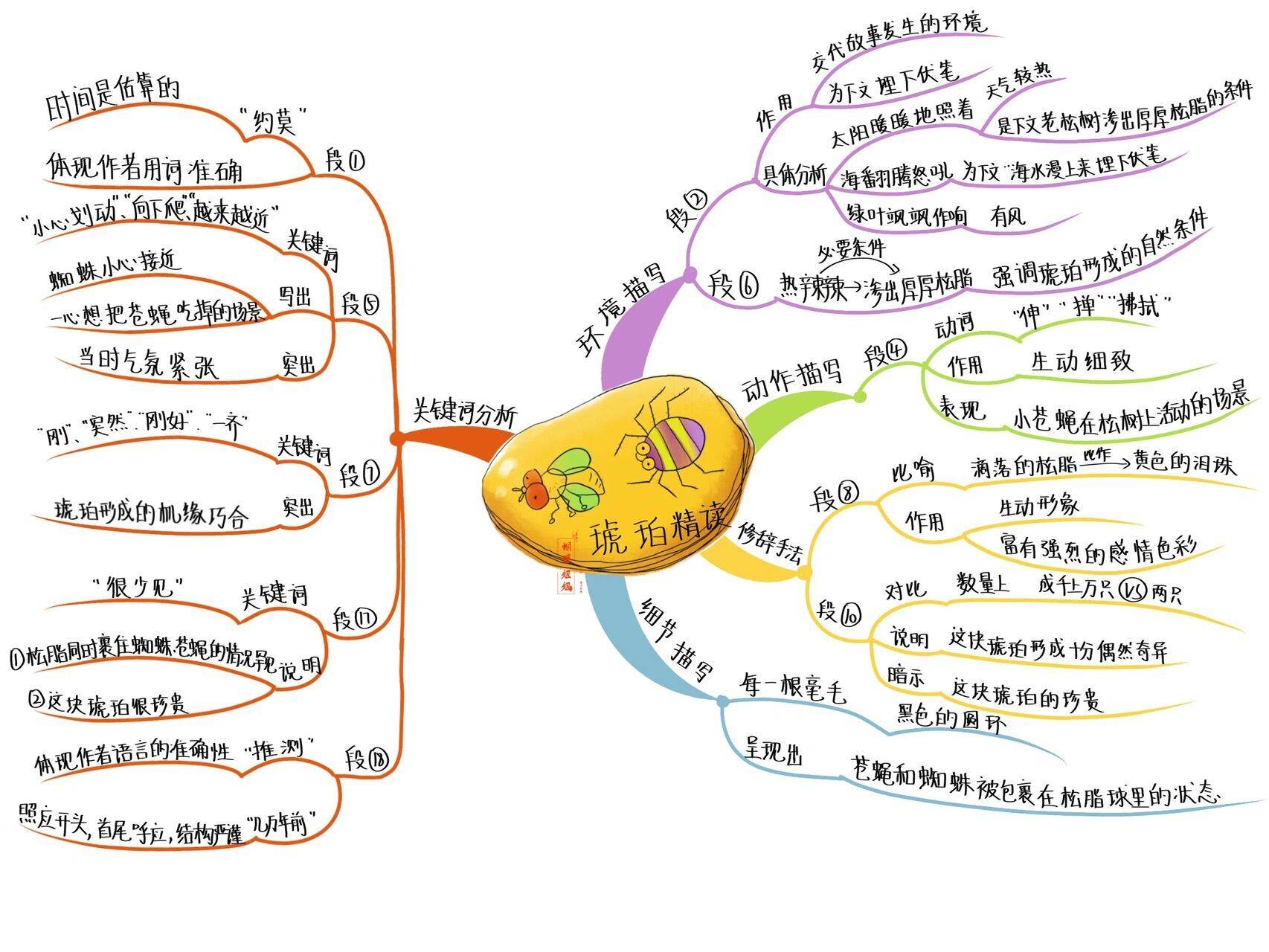 琥珀思维导图内容简单图片