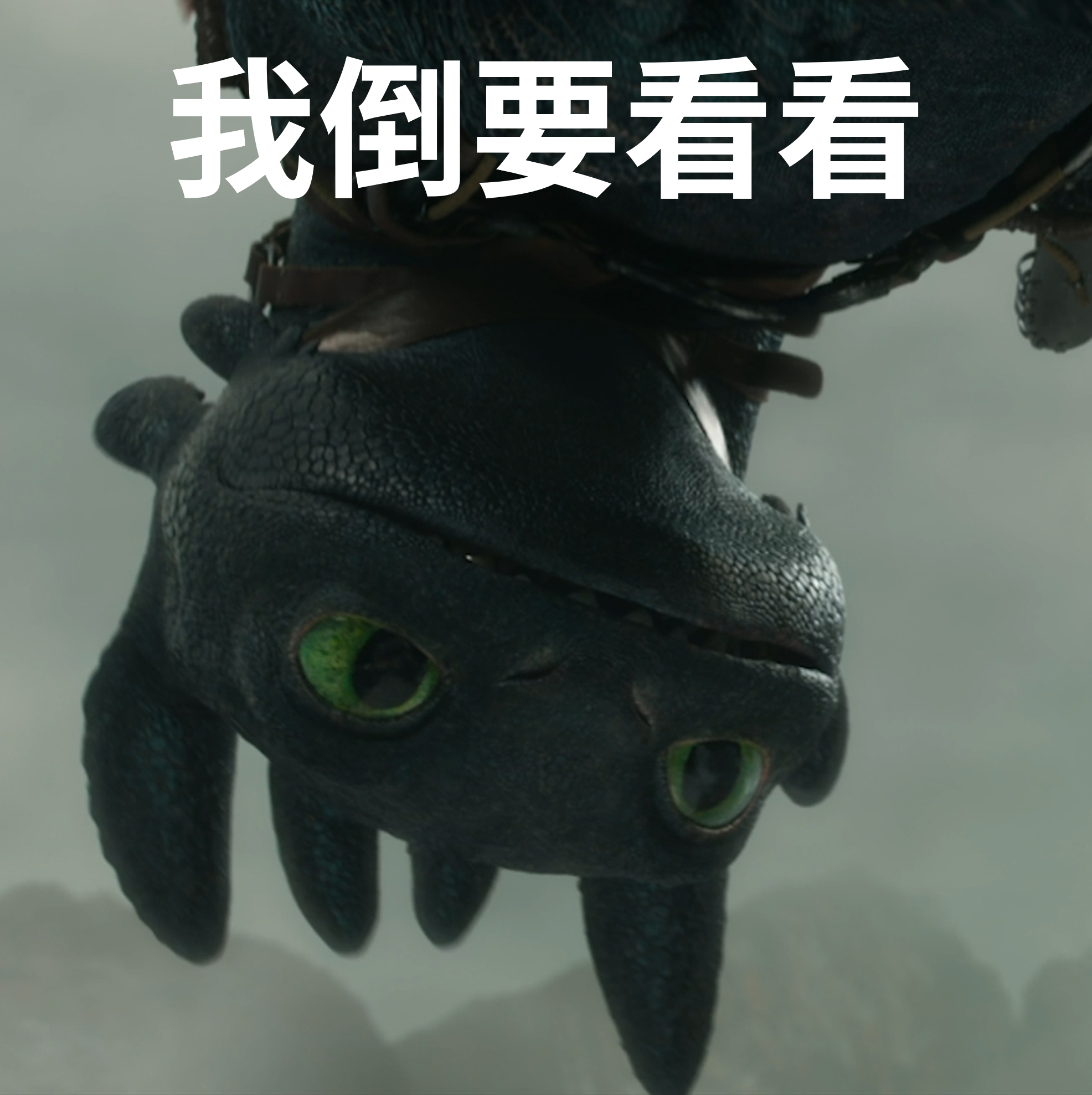 博克岛"表情天才"没牙仔出没 镜头