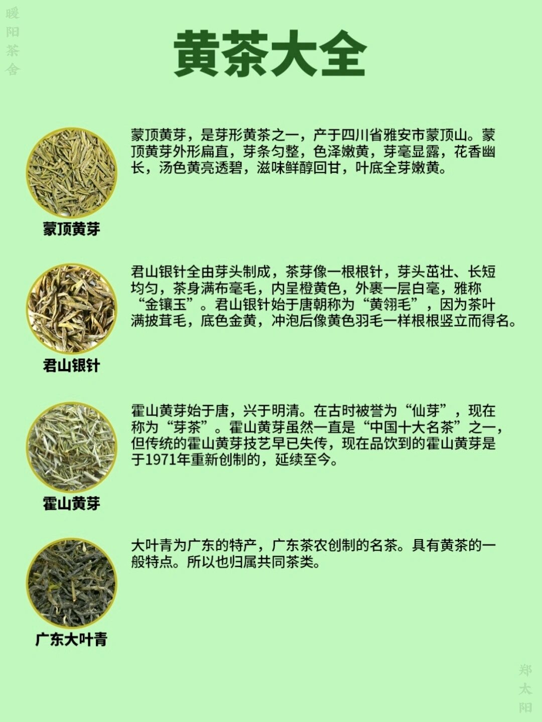 茶知识:黄茶品种大全