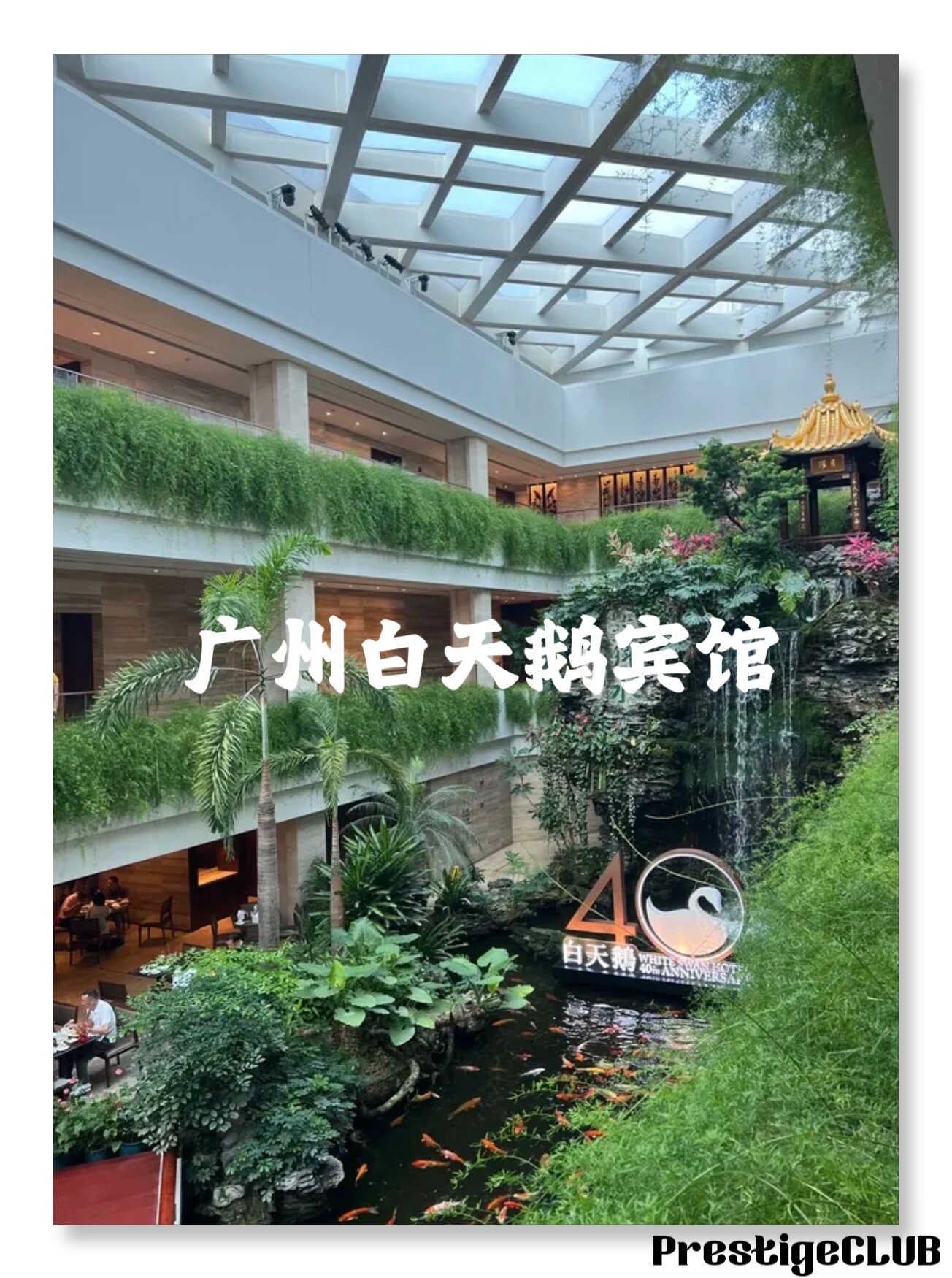 广州白天鹅宾馆|老字号高端奢华酒店