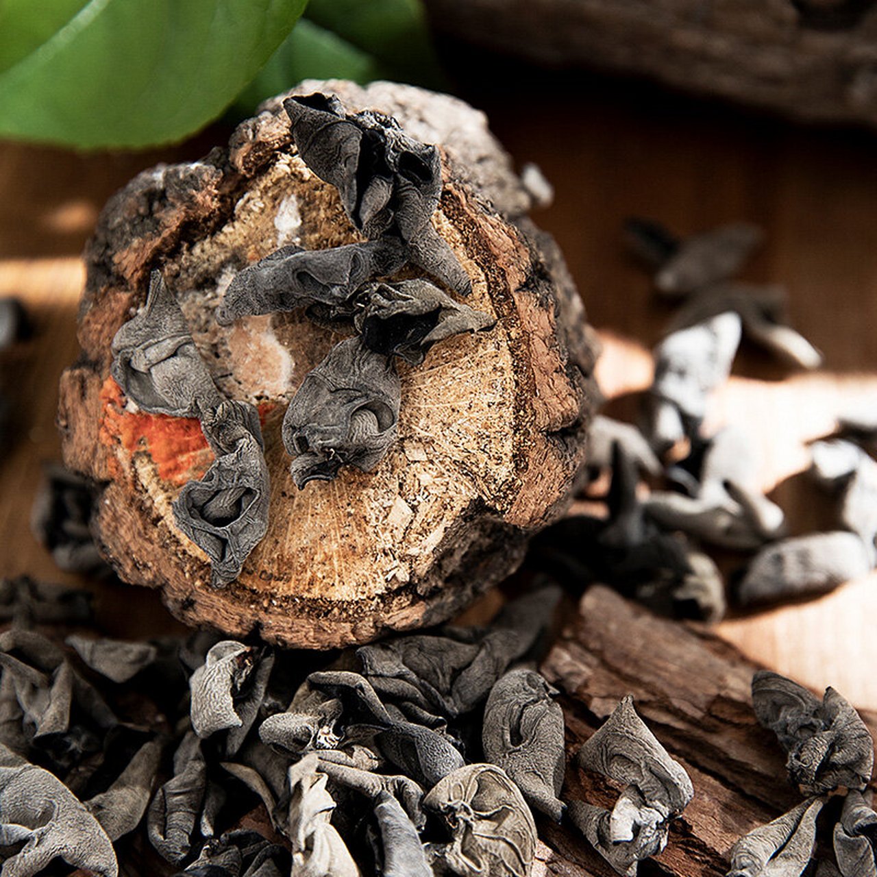 四川省特产 - 青川黑木耳 青川县气候温和湿润,适宜多种食用菌生长,是