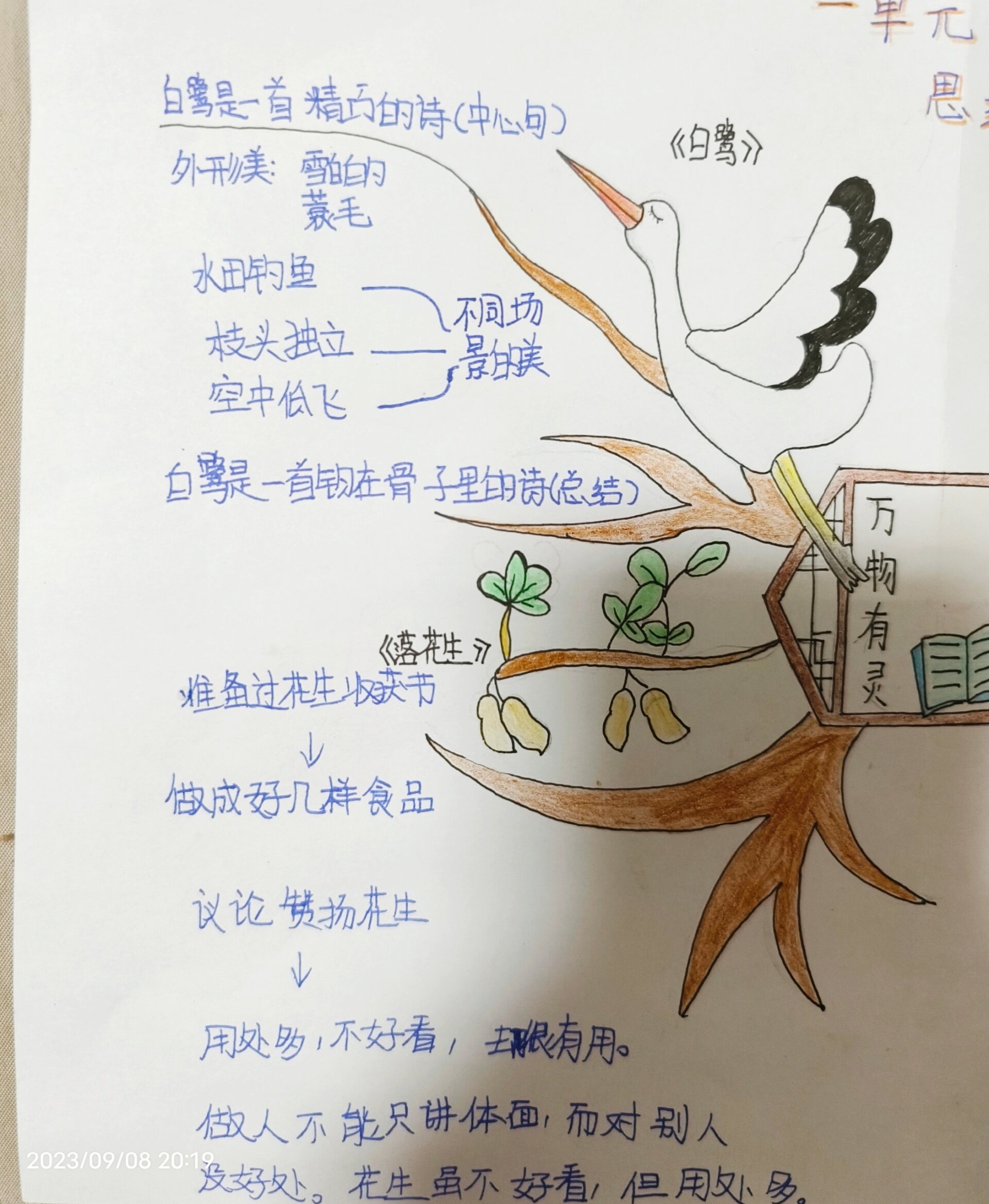 五上语文思维导图全册图片