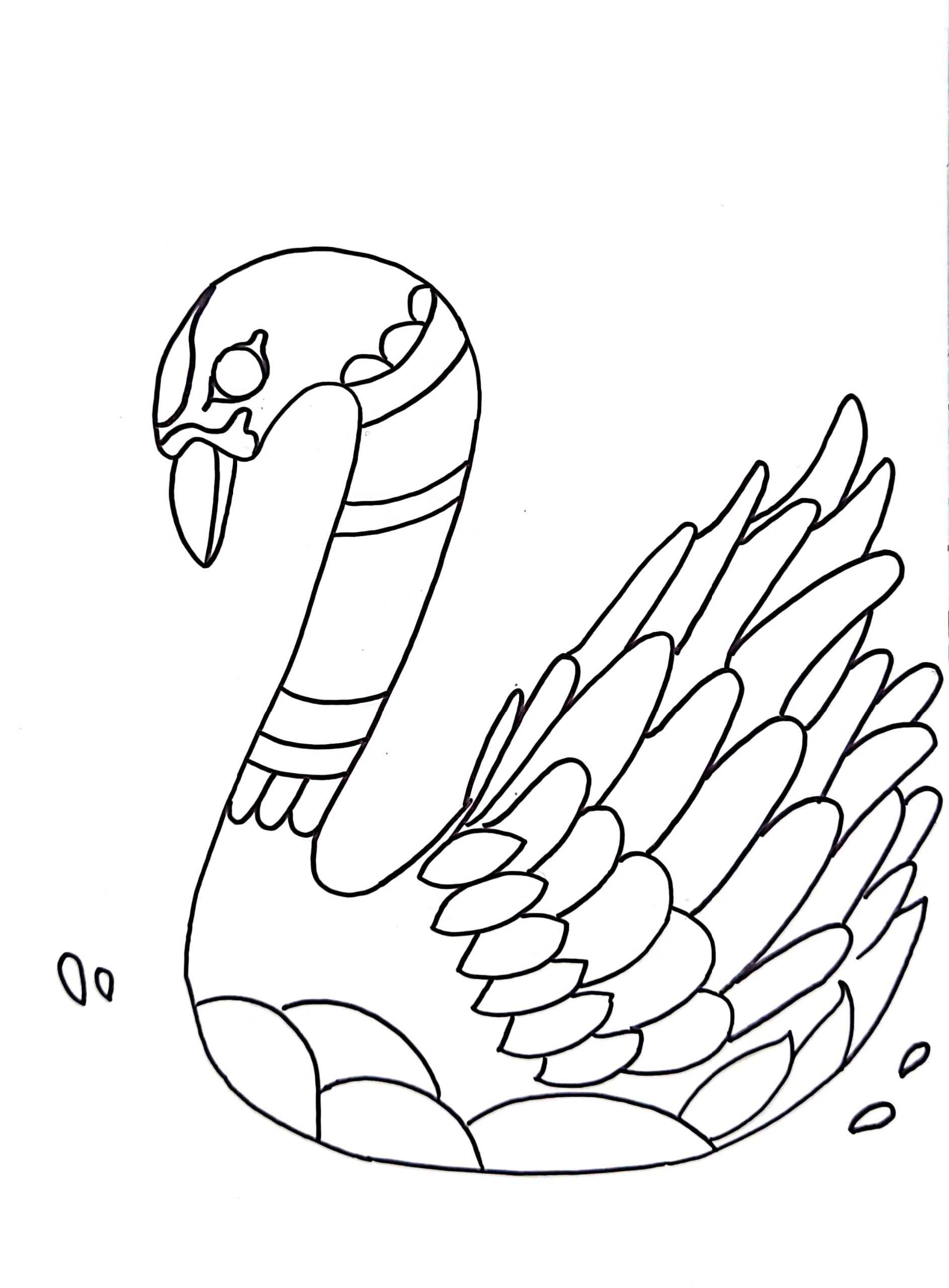 7-8岁创意美术【天鹅