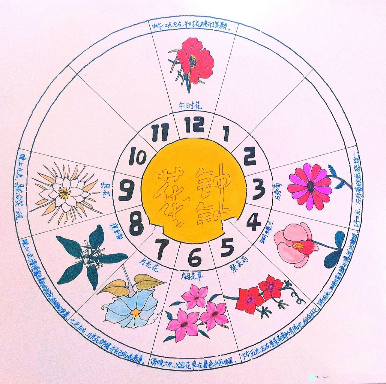 要是我们留心观察,就会发现,一天之内,不同的花开放的时间是不同的.