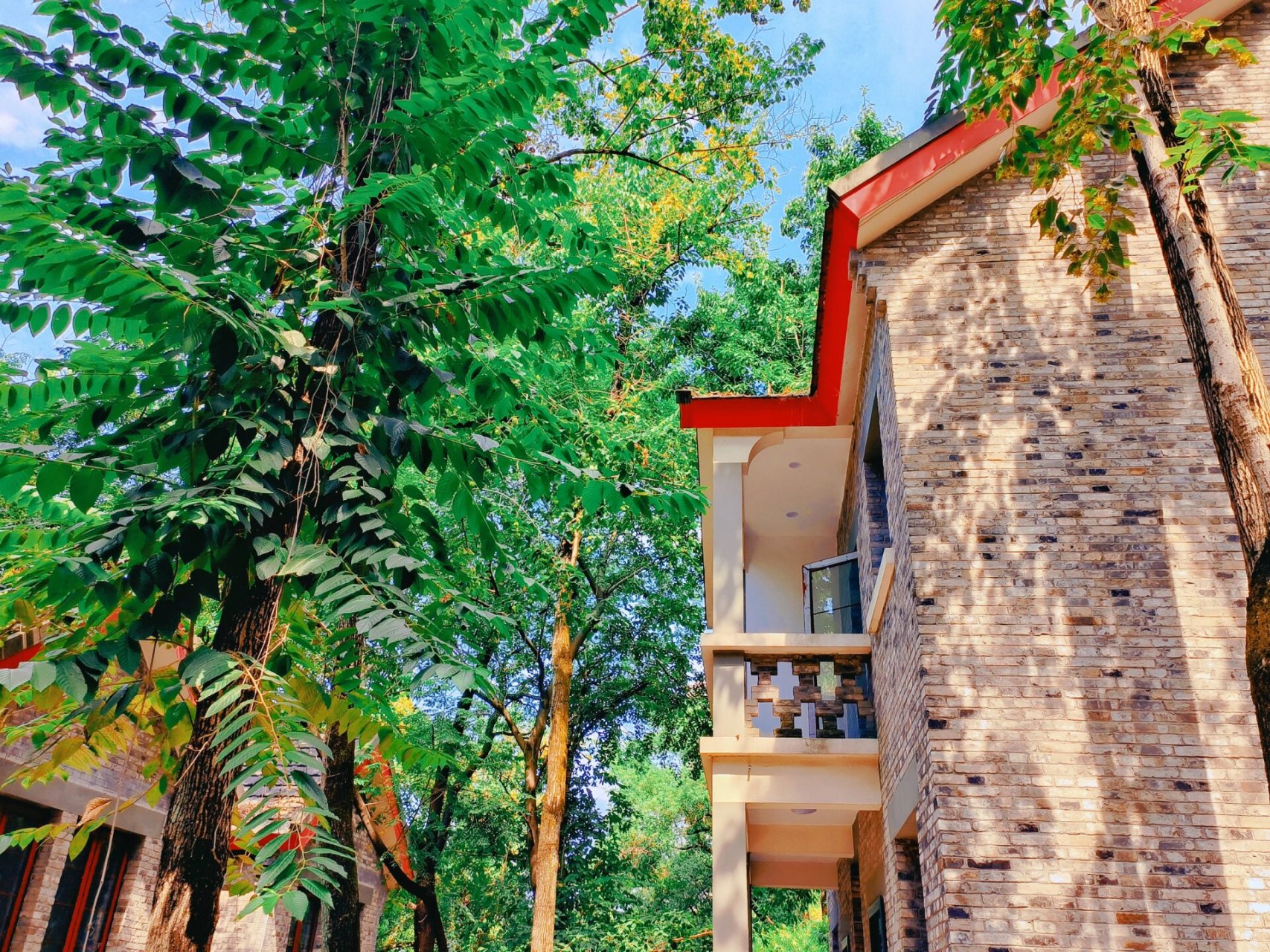 重庆大学松林坡老别墅区 谁不喜欢小时候长大的地方呢?