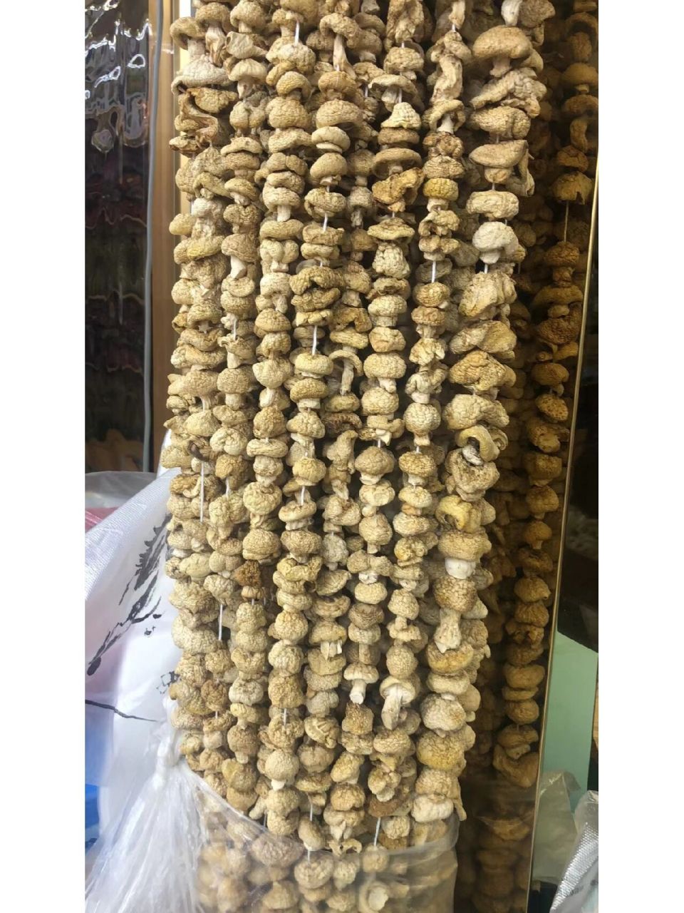 青海祁连野生黄蘑菇 黄蘑菇的功效与作用:具有清热除烦,养血活血,追风