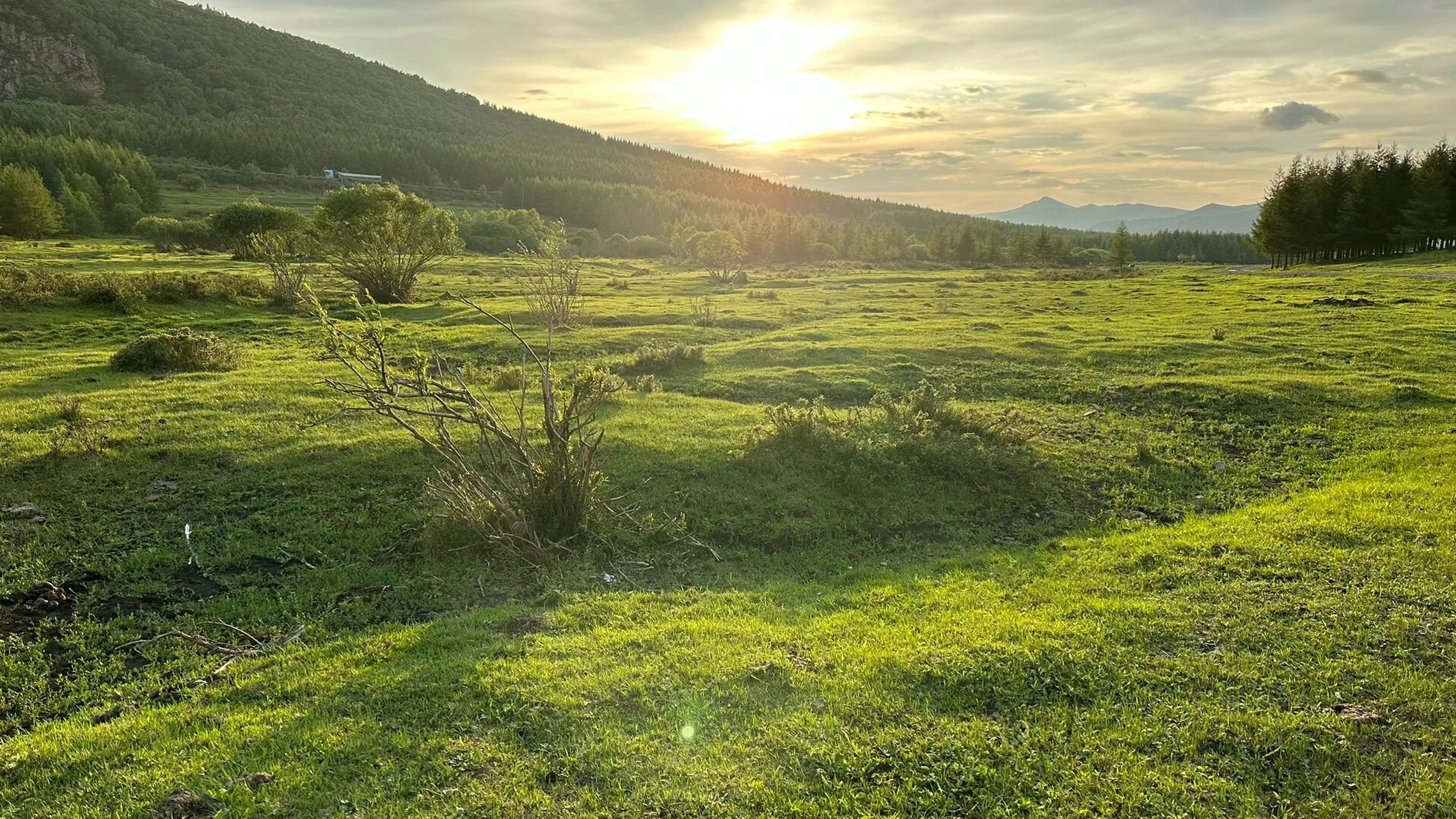 避暑圣地,丰宁千松坝云中草原全攻略!