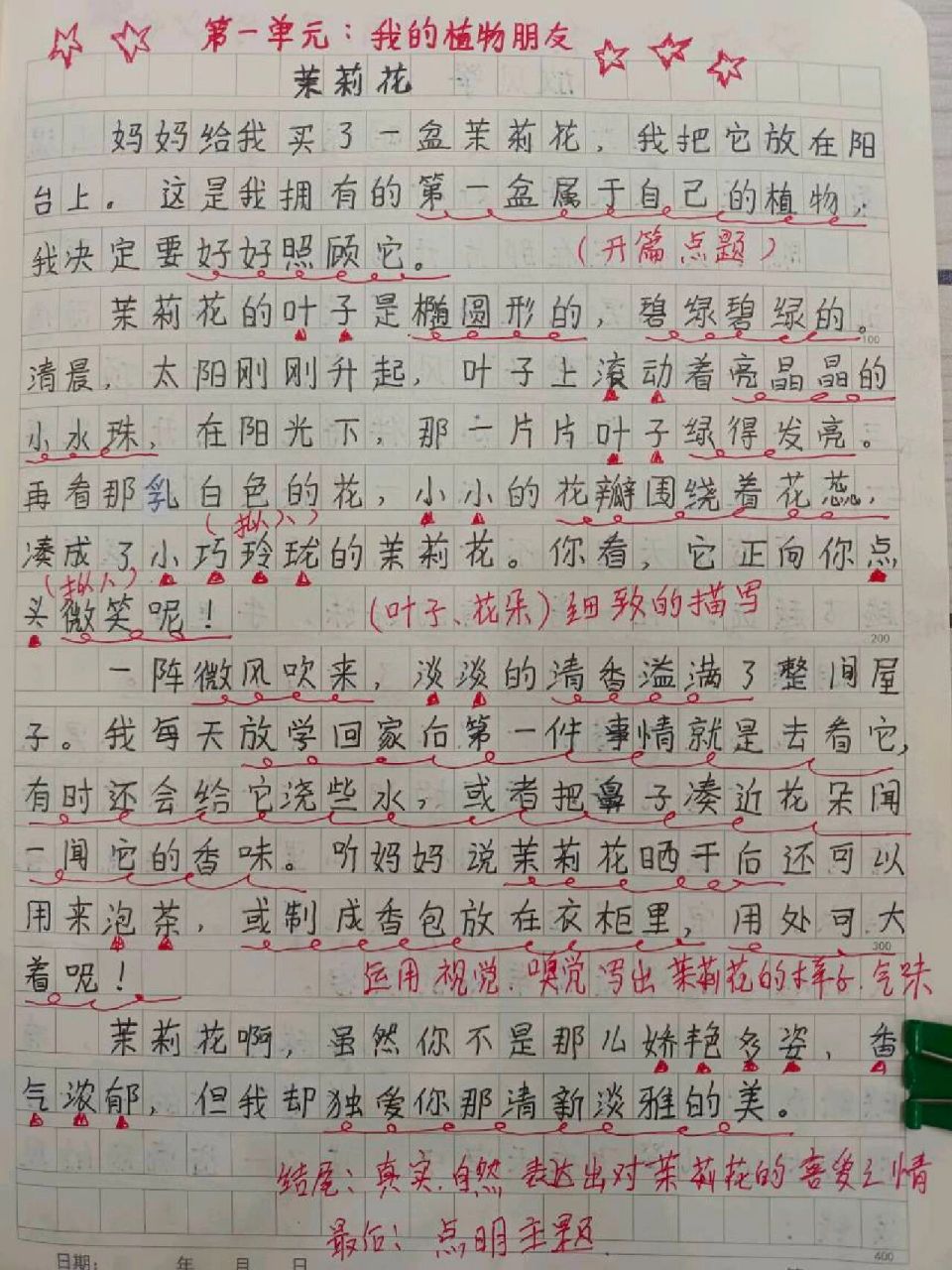 三年级观察一种植物的作文(三年级下册观察一种植物的作文)