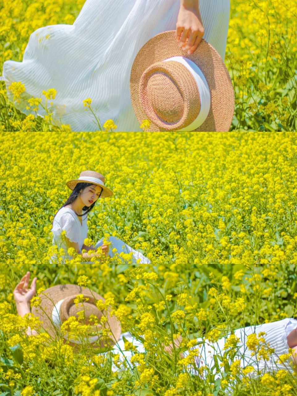 天津空港油菜花盛开啦 一望无际花多人少很壮观 0门票✅停车免费