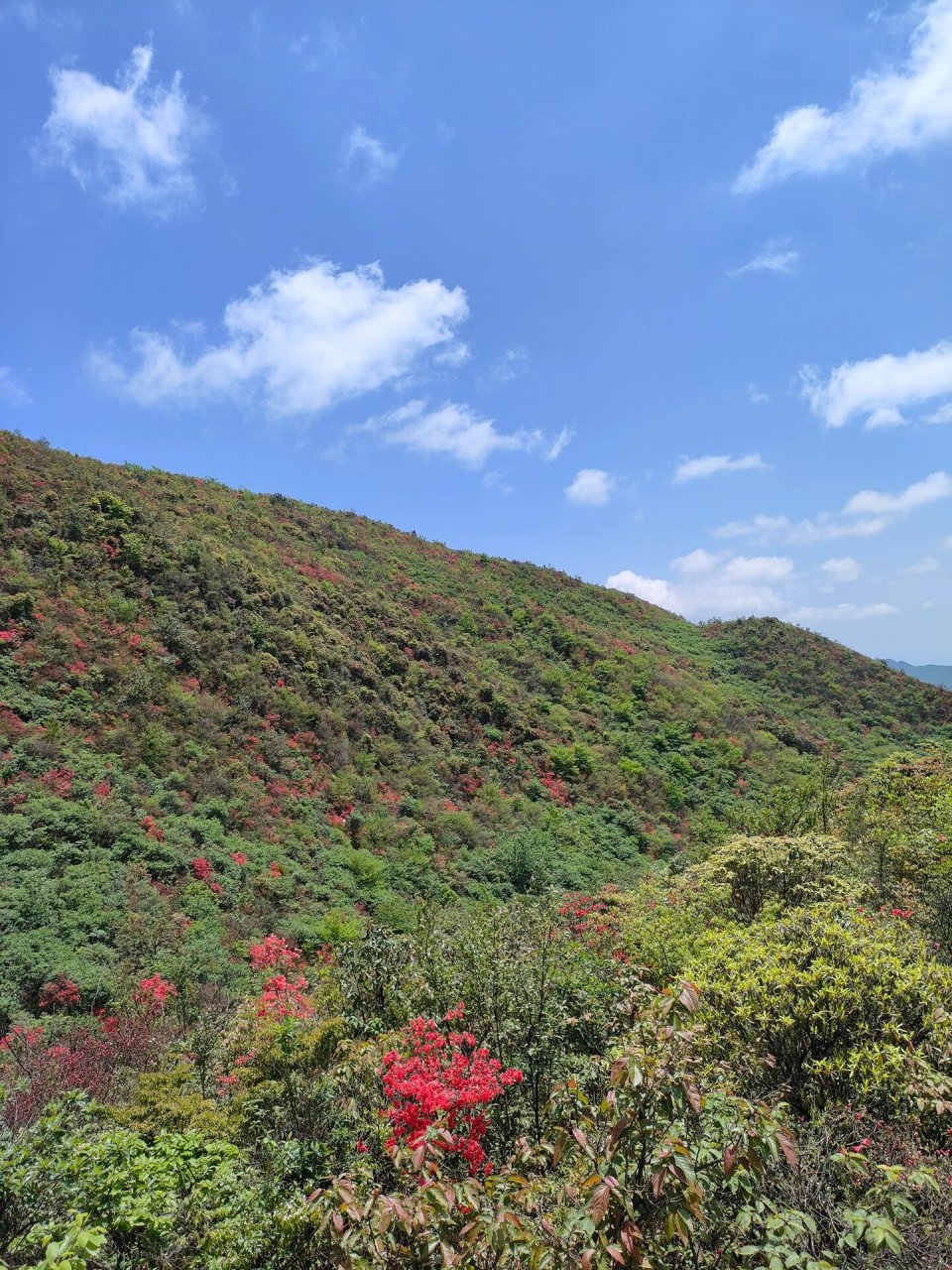 莲花石门山图片