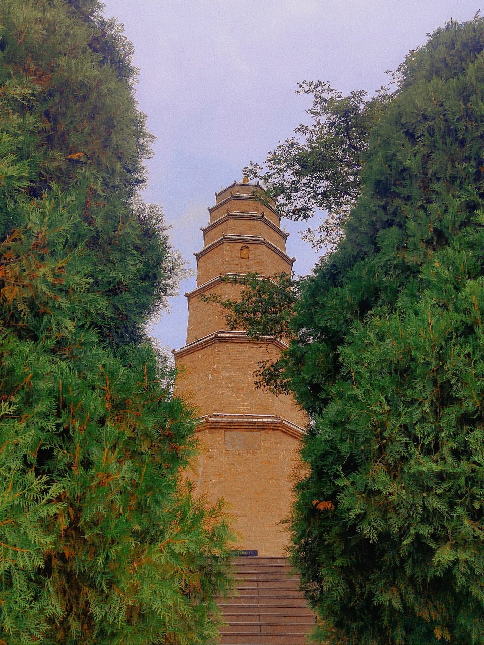 晋城白马寺 白马寺森林公园和白马寺都在一起,白马寺需要在爬山上去