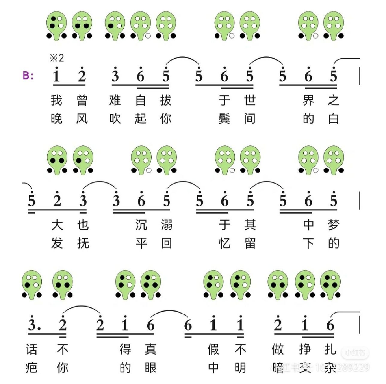 陶笛曲谱《起风了》 陶笛教学
