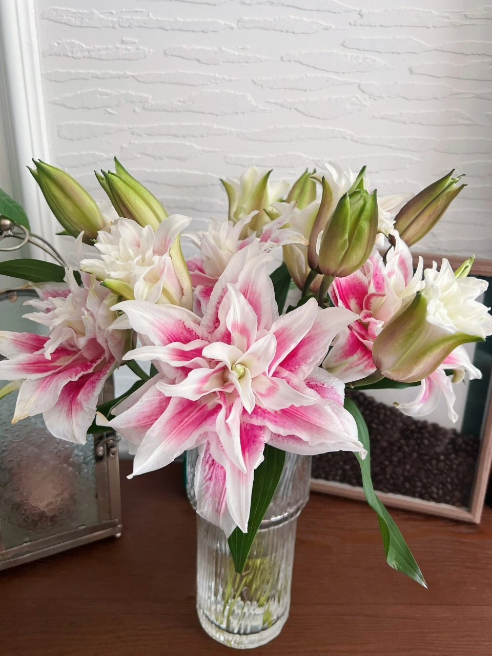 三头重瓣百合伊莎贝拉 94花语:高贵伟大的爱,纯洁,梦幻.