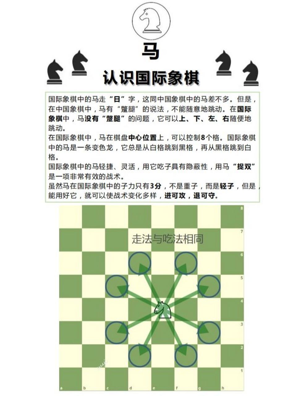 国际象棋棋子图解图片