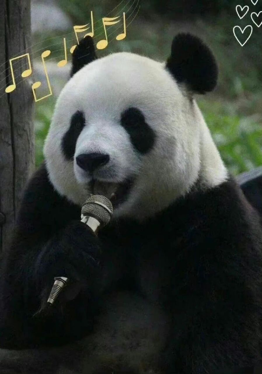 著名暴躁甜妹--飞云 打过金虎,揍过妙音,下班不回家,奶妈一叫就生气