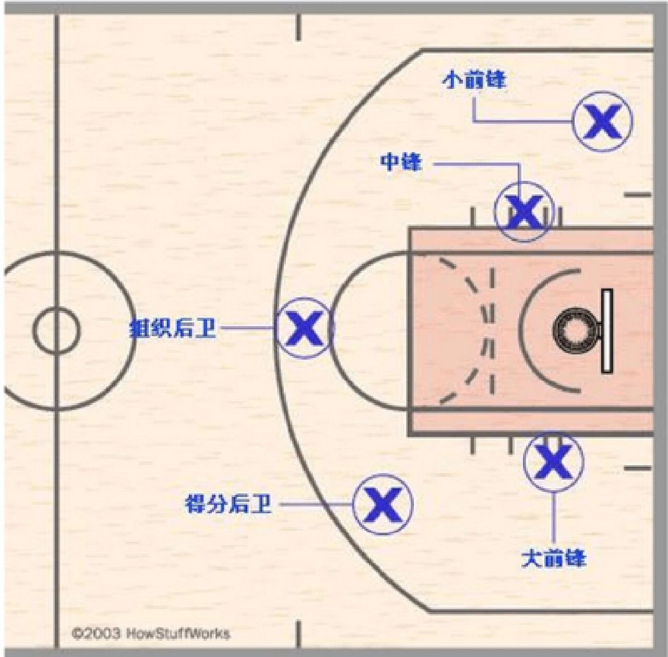 篮球5v5各位置站位图片图片