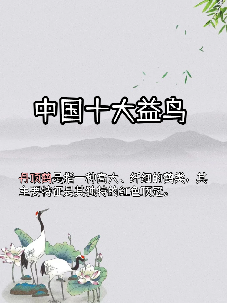 中国十大益鸟