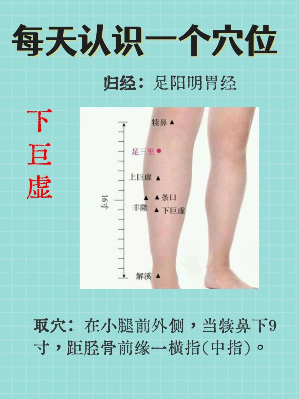 下巨虚的简易找法