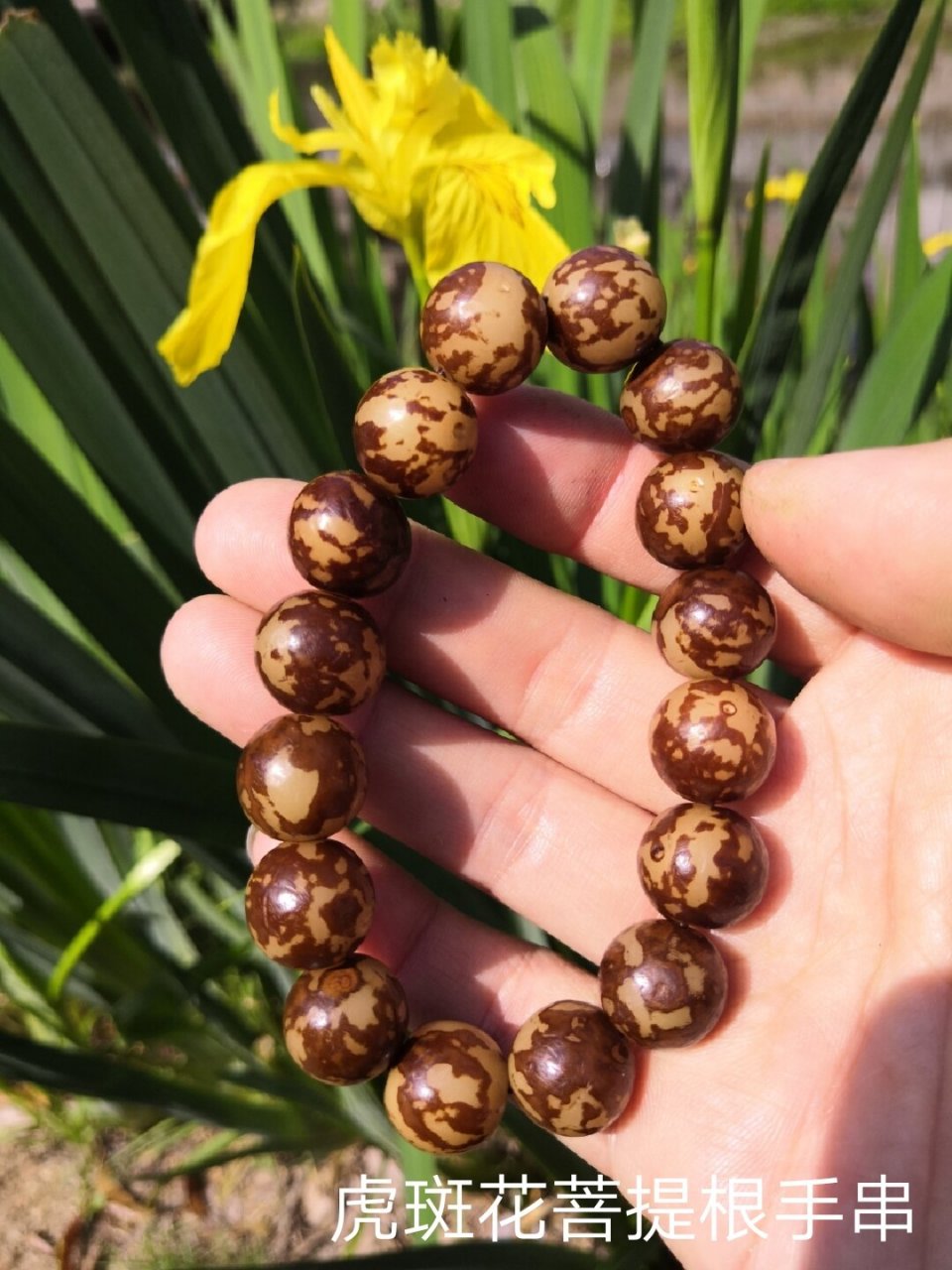 聊聊如何正确盘玩花菩提根手串 阳光明媚,午后的溪边风景独好.