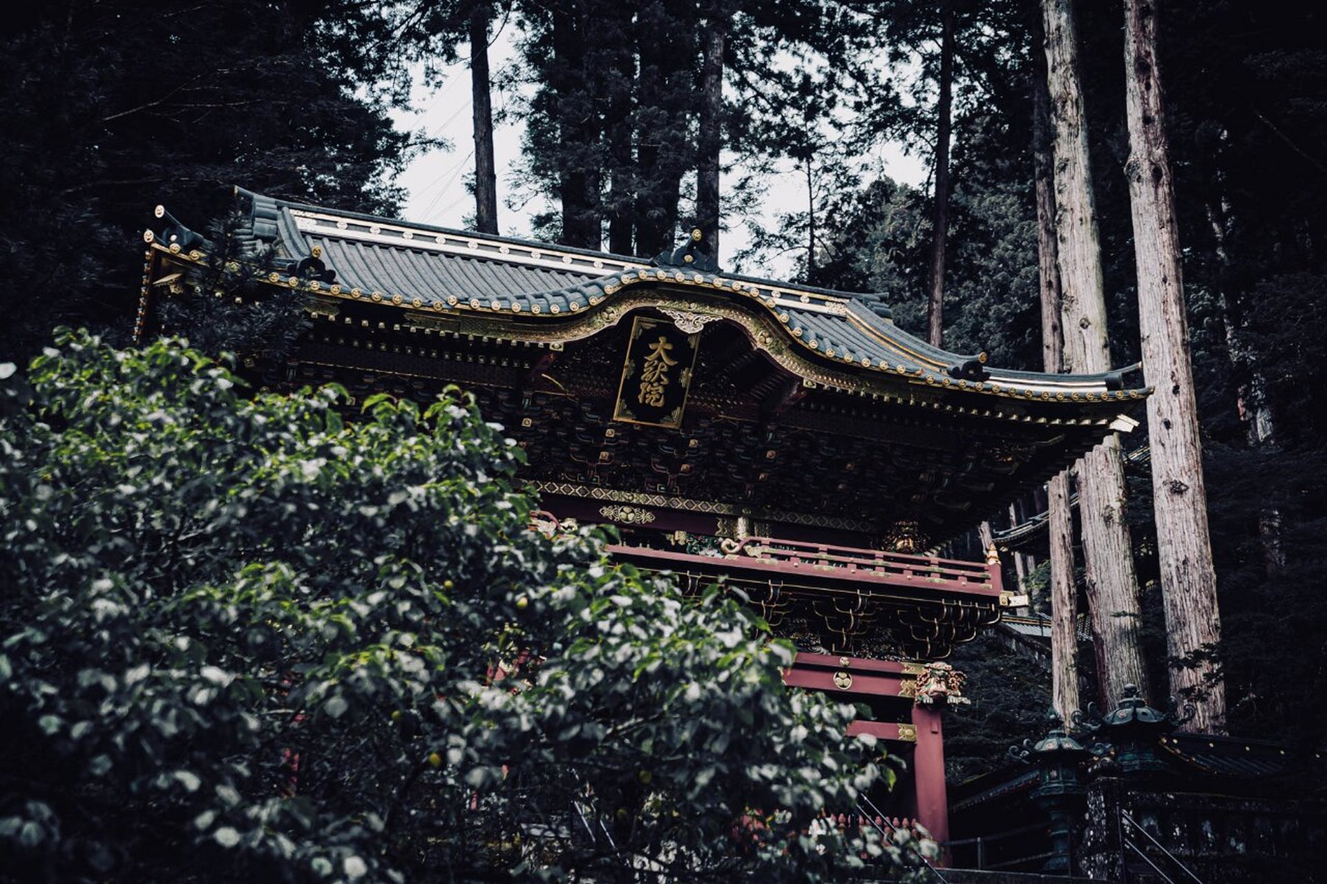 去东京9591近郊看看德川家康的神社 位于东京近郊的日光东照宫,始