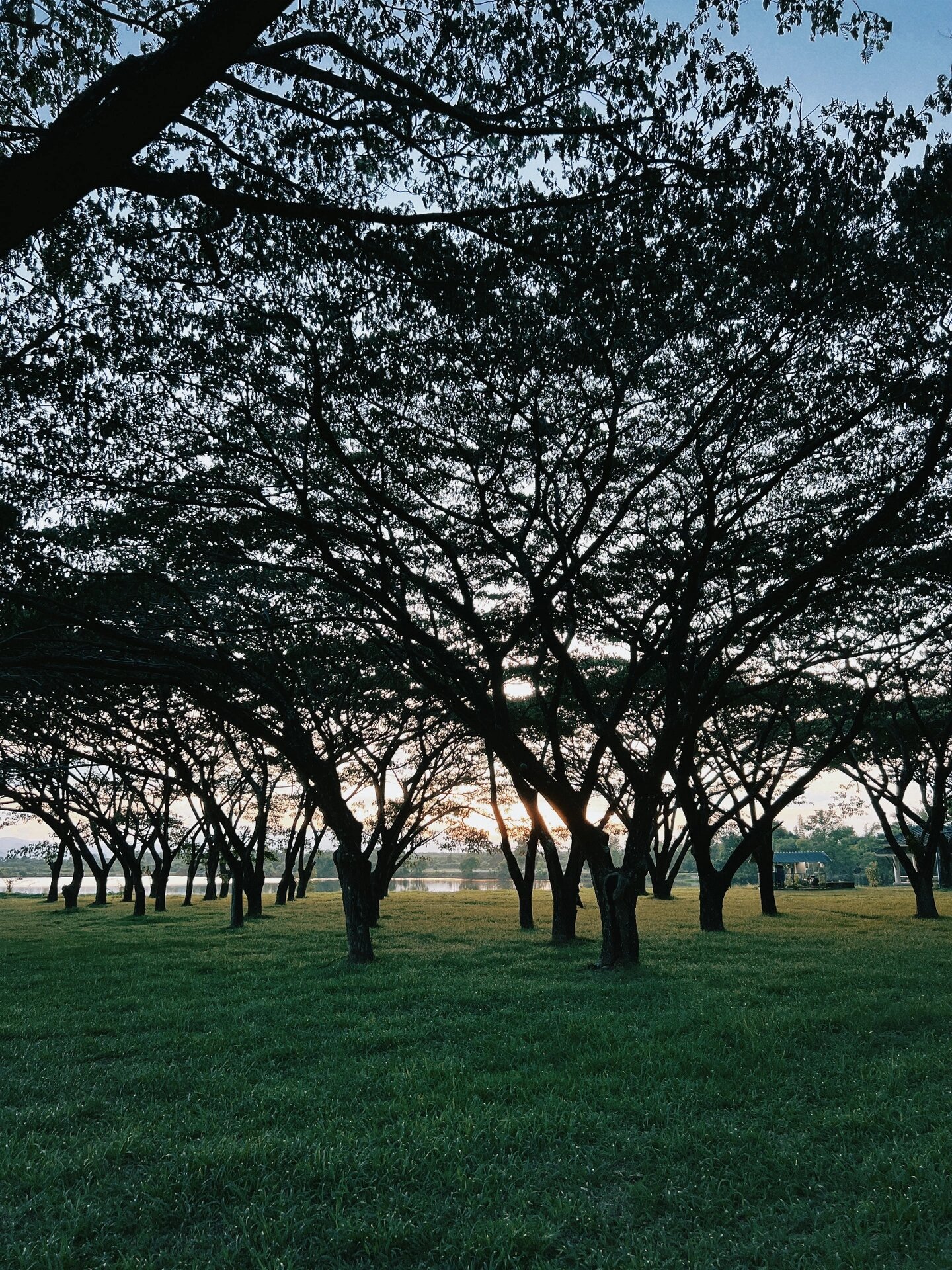 泰国洛坤府 walailak @风不欢溺渁的动态