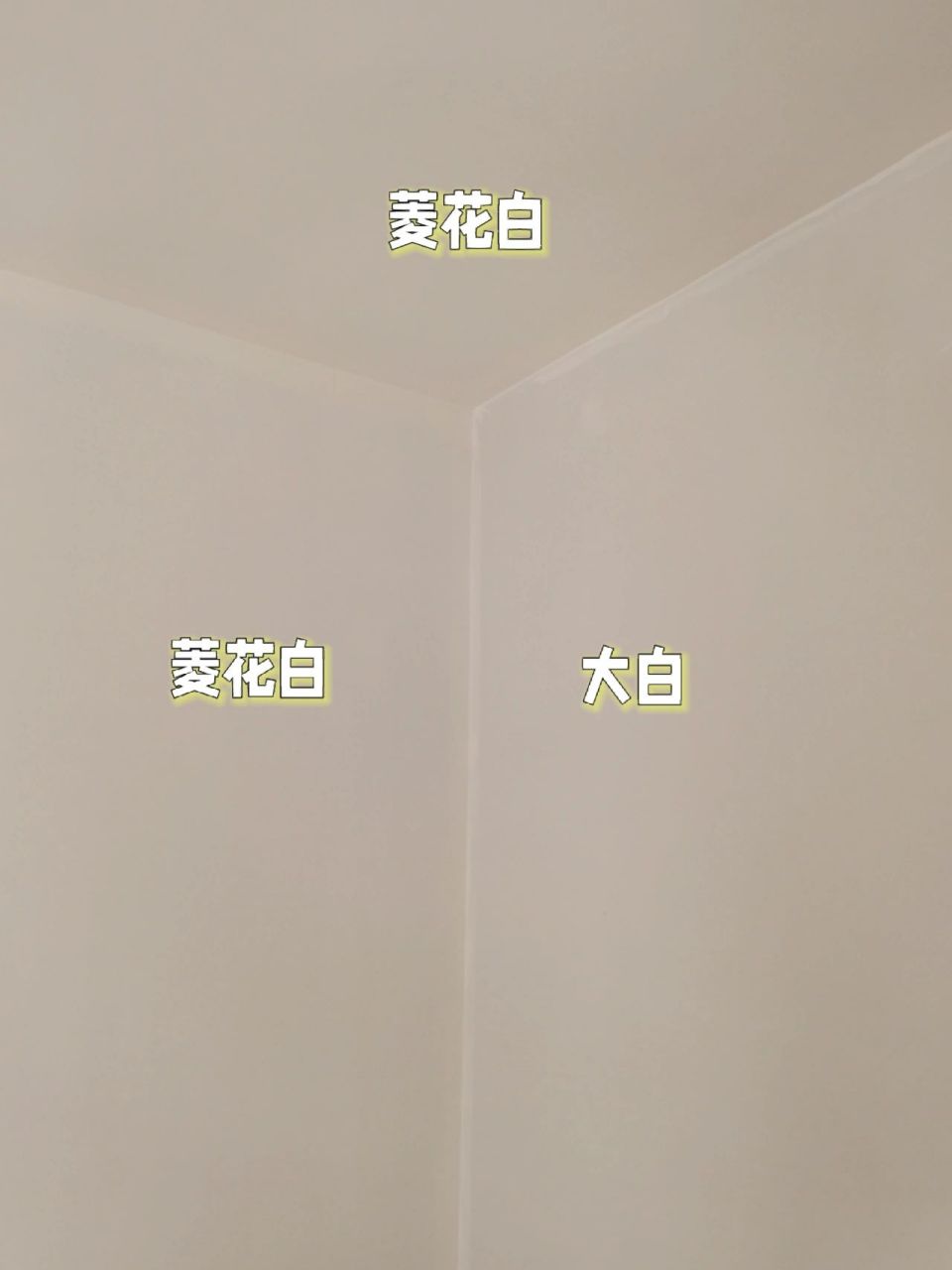 装修:立邦乳胶漆,菱花白与大白对比 因为是一楼,所以采光略弱.