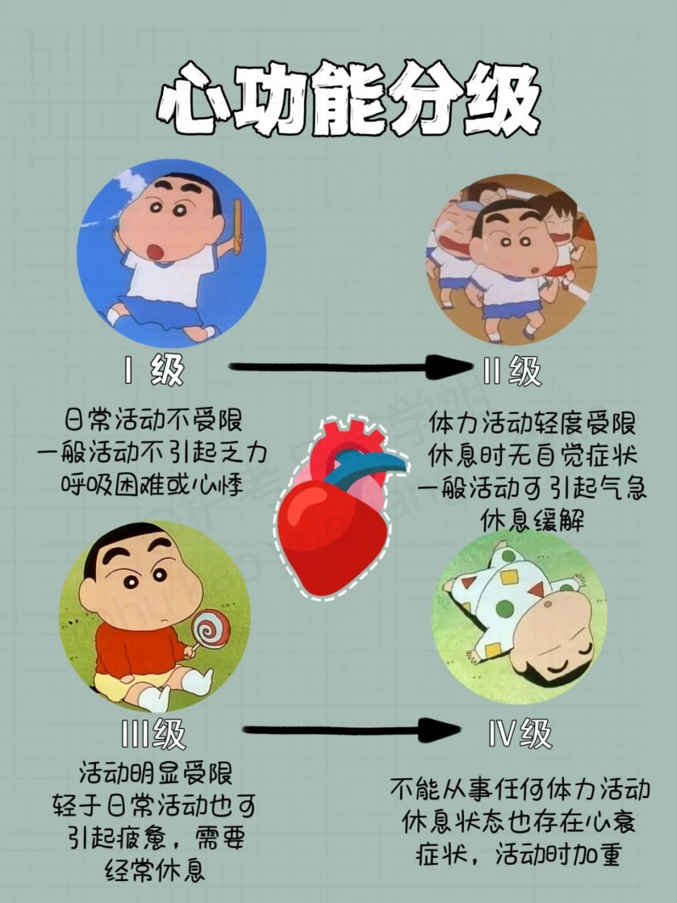 心功能分级 7815 月亮不睡我不睡 今天学习心功能分级,这个知识点