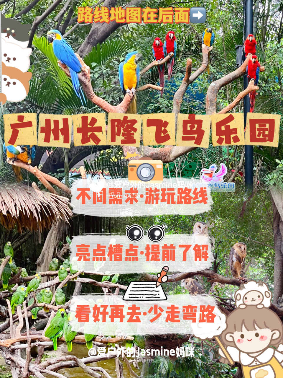 广州遛娃|小众冷门的长隆飞鸟乐园7315怎么玩71  	 94长隆