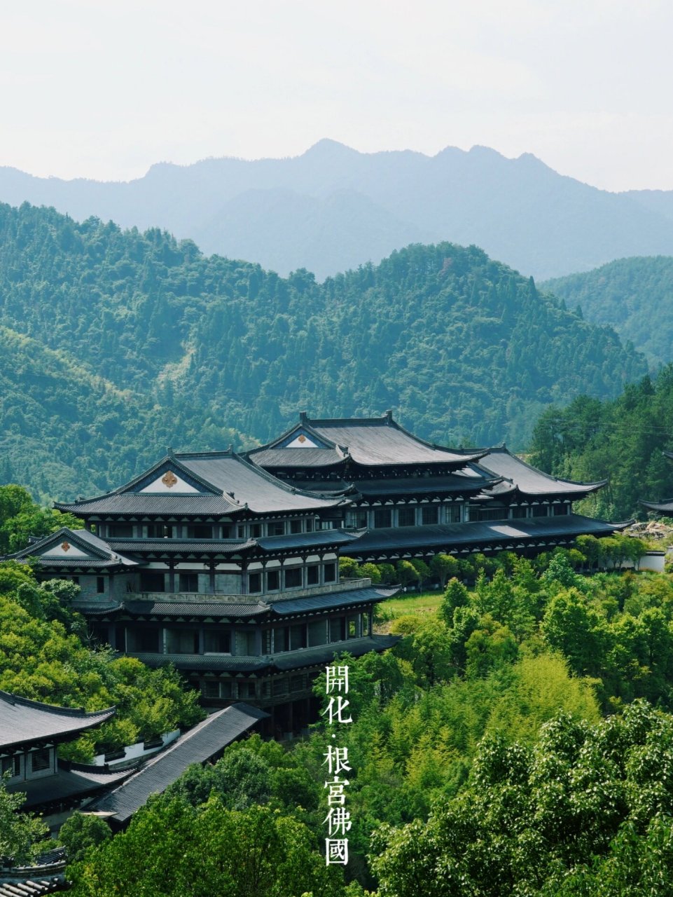 夏日避暑计划|树影斑驳的开化根宫佛国 年轻人不一定会对佛教根雕主题