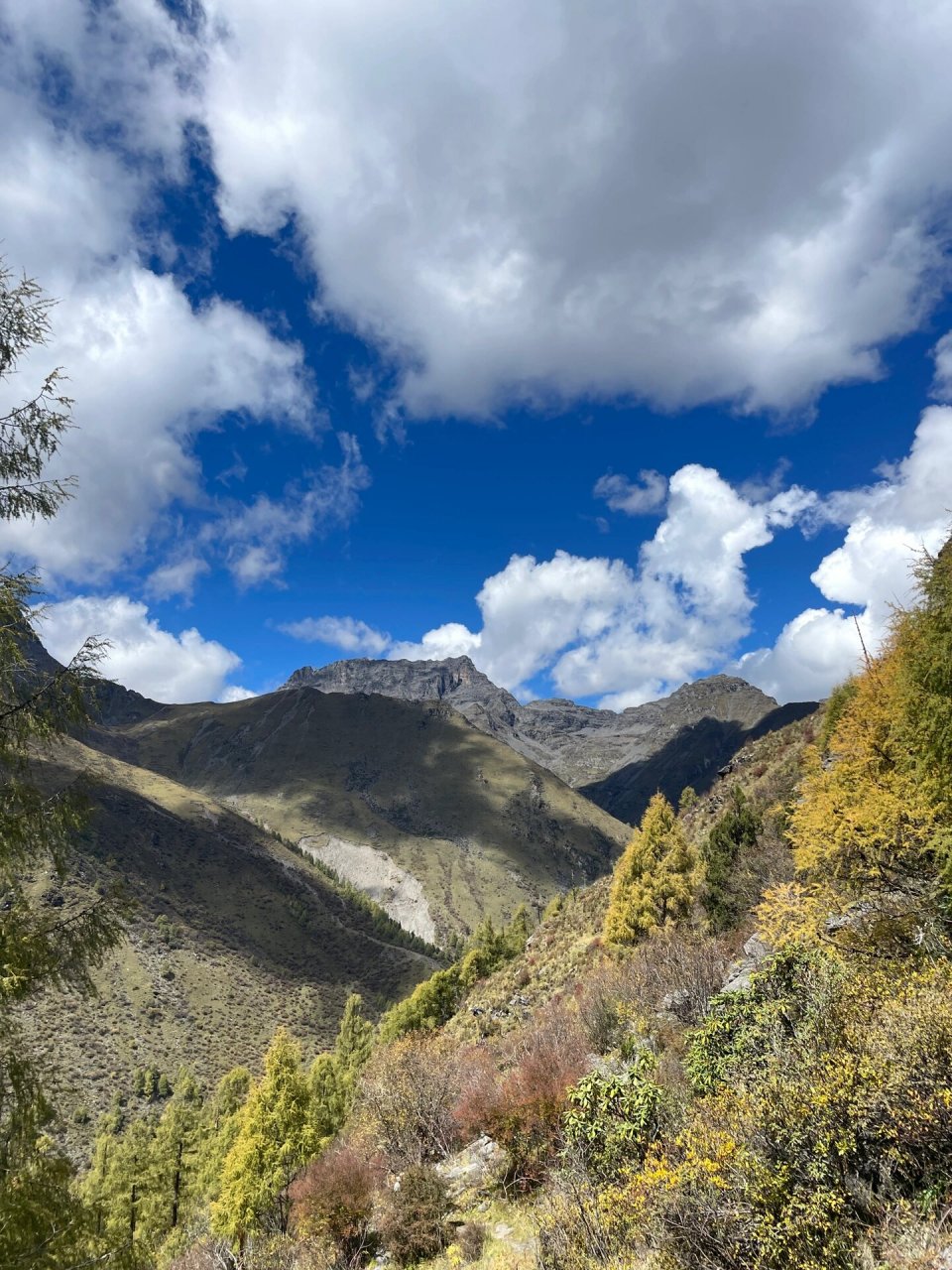 川西超小众徒步胜地—小金县玛嘉沟 📍玛嘉沟景区位于四川省阿坝州