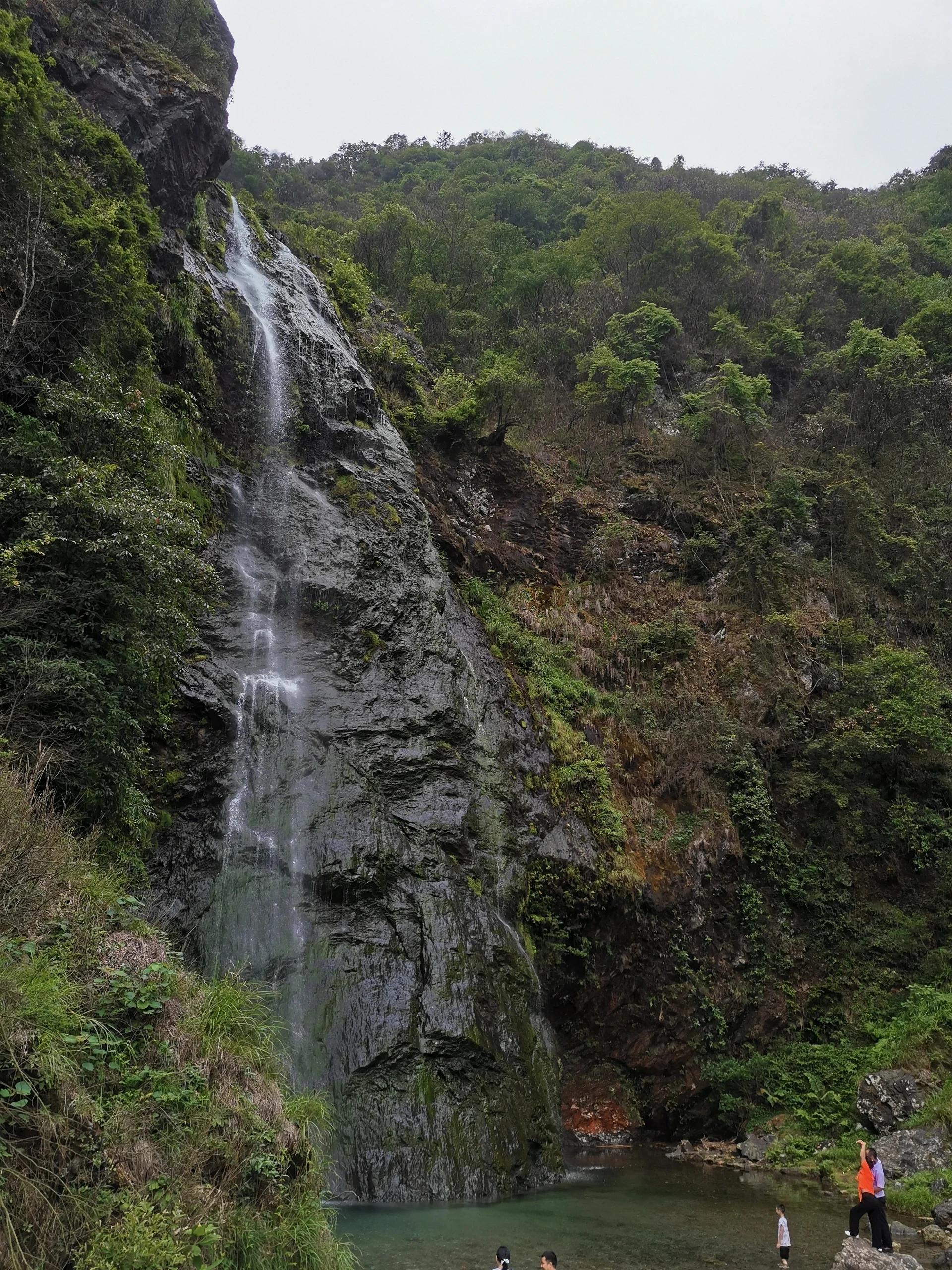 江西吉安永新龙钦锋图片