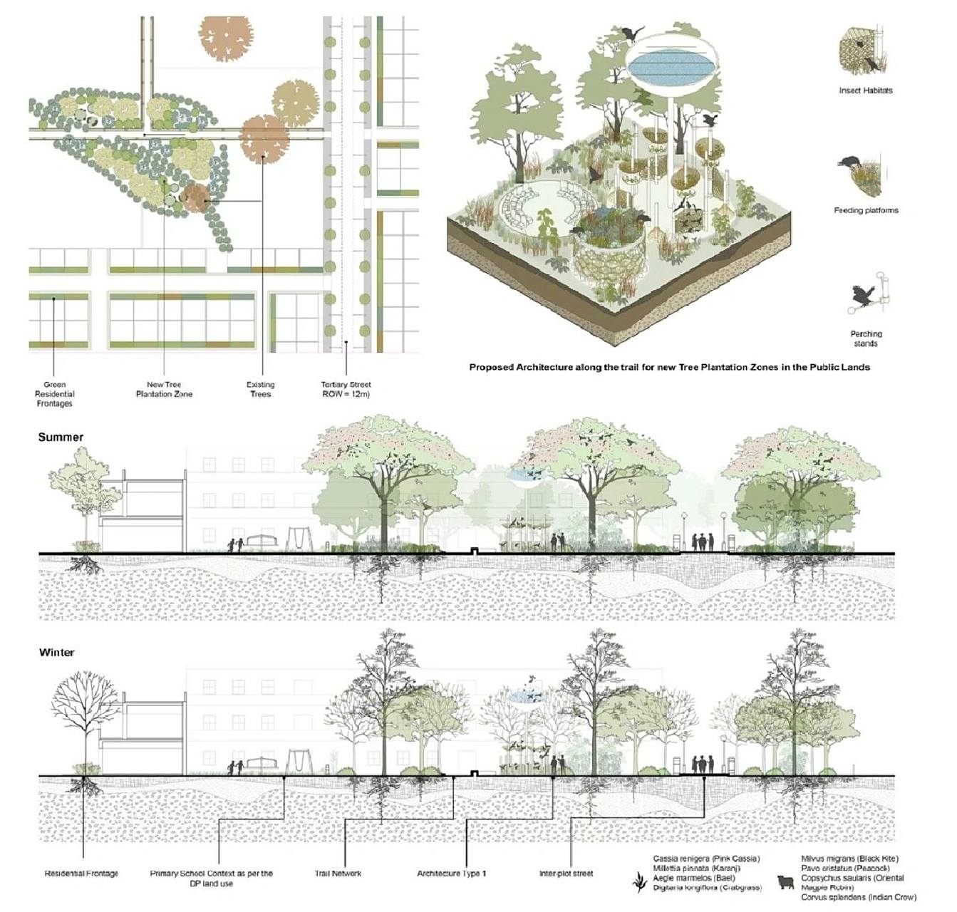 植物配置策略分析图分享73