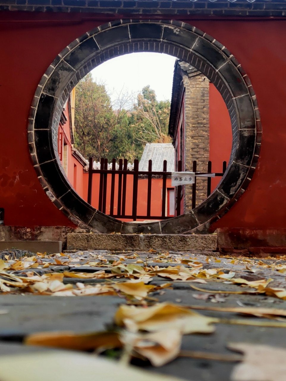 千年古刹普照寺‖不需要滤镜的秋天!