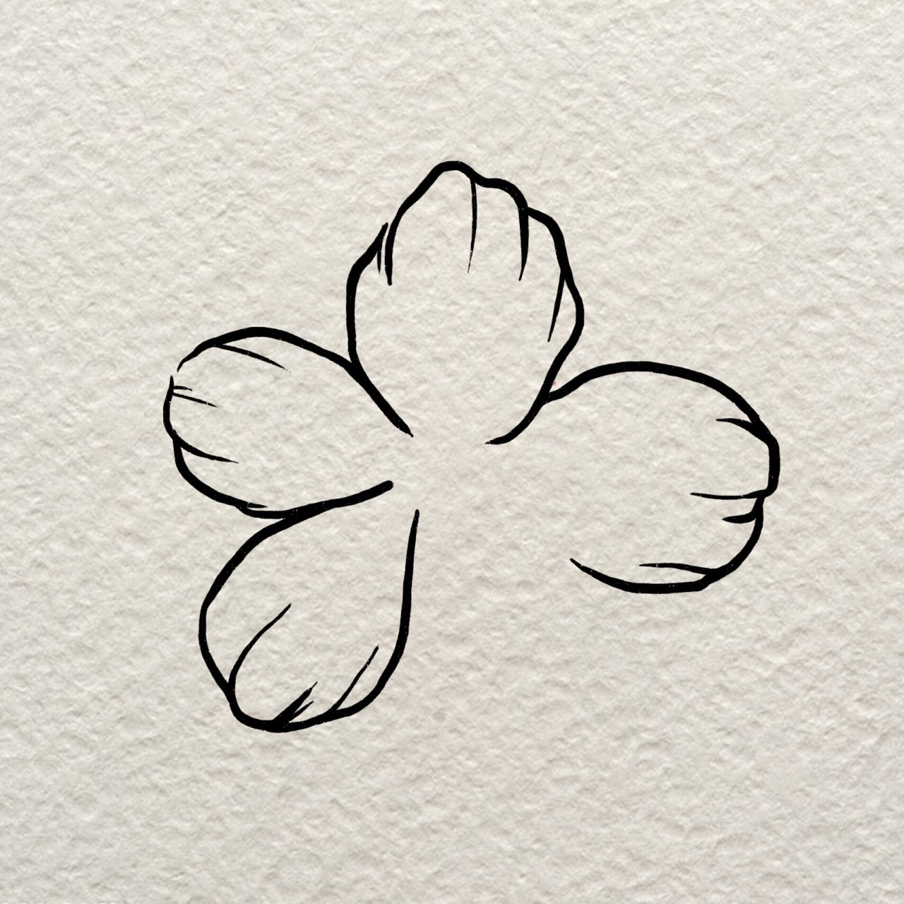 简笔画|一朵小花花 小花花插画步骤注意查收,友情提示,一定要等到勾线