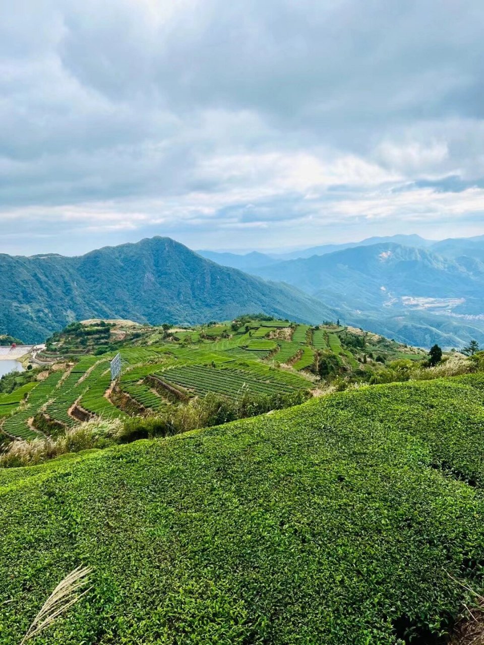 厦门市同安白交祠村 白交祠,又名"白蛟祠",是一个小山村,平均海拔1000