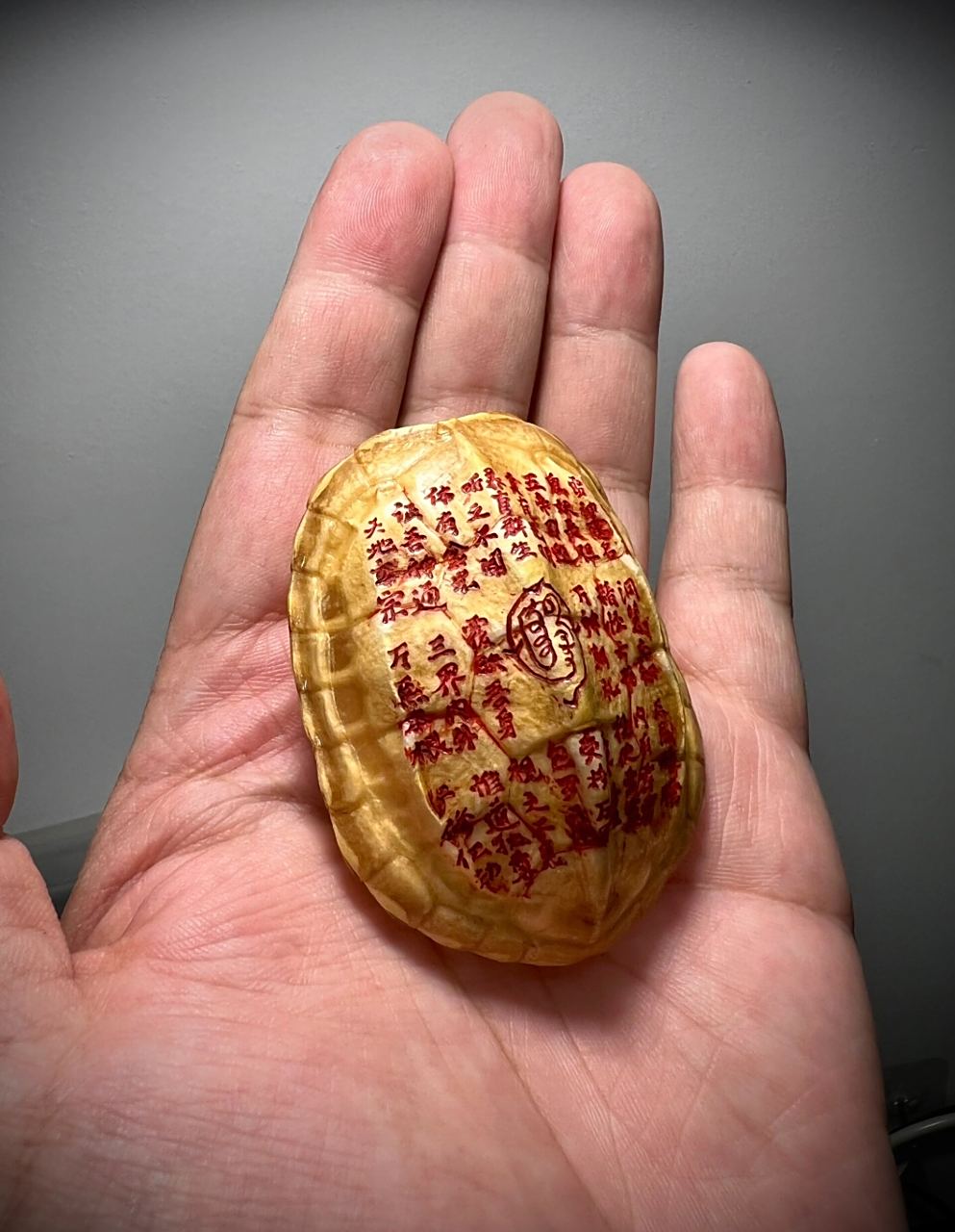 黄金甲•金光咒