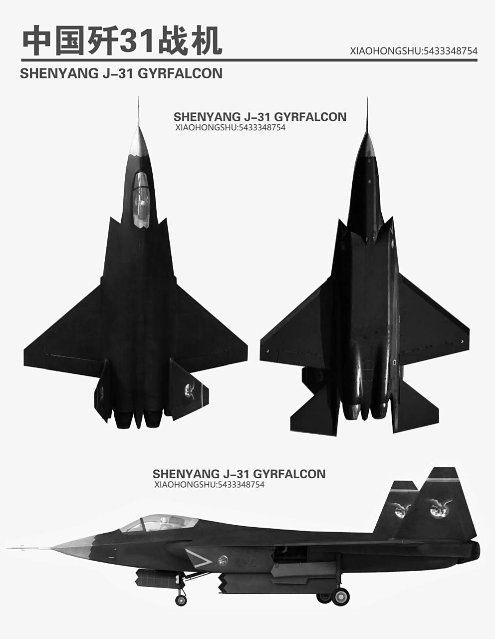 中国歼31战机 歼-31(中国编号:j-31,绰号:鹘鹰,英译:gyrfalcon ,英文