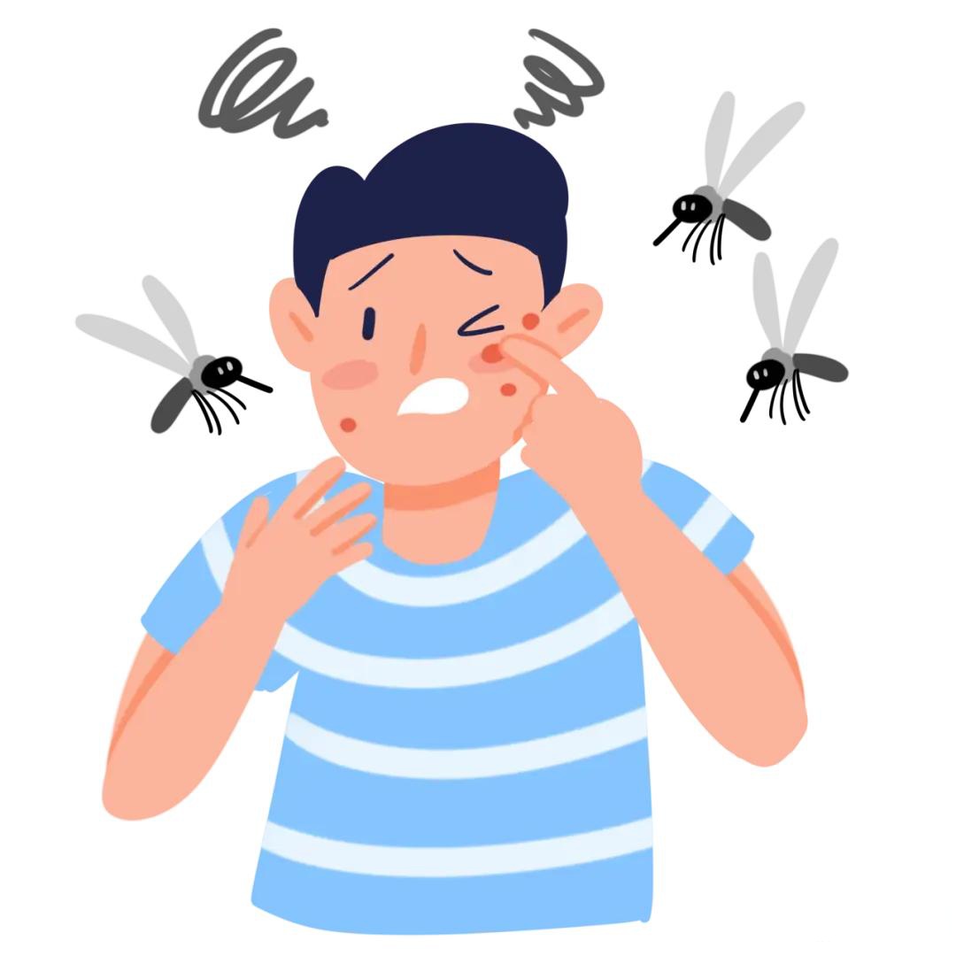 蚊虫叮咬活动活跃起来;另一方面,秋后也是蚊子一年中最后的繁衍高峰