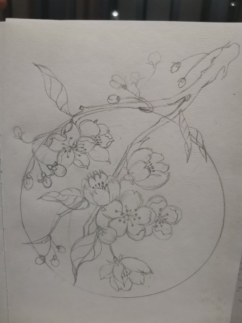每日一画|桃花手绘黑白画 万花丛中的百花争艳你不一定娇艳,凌寒独自