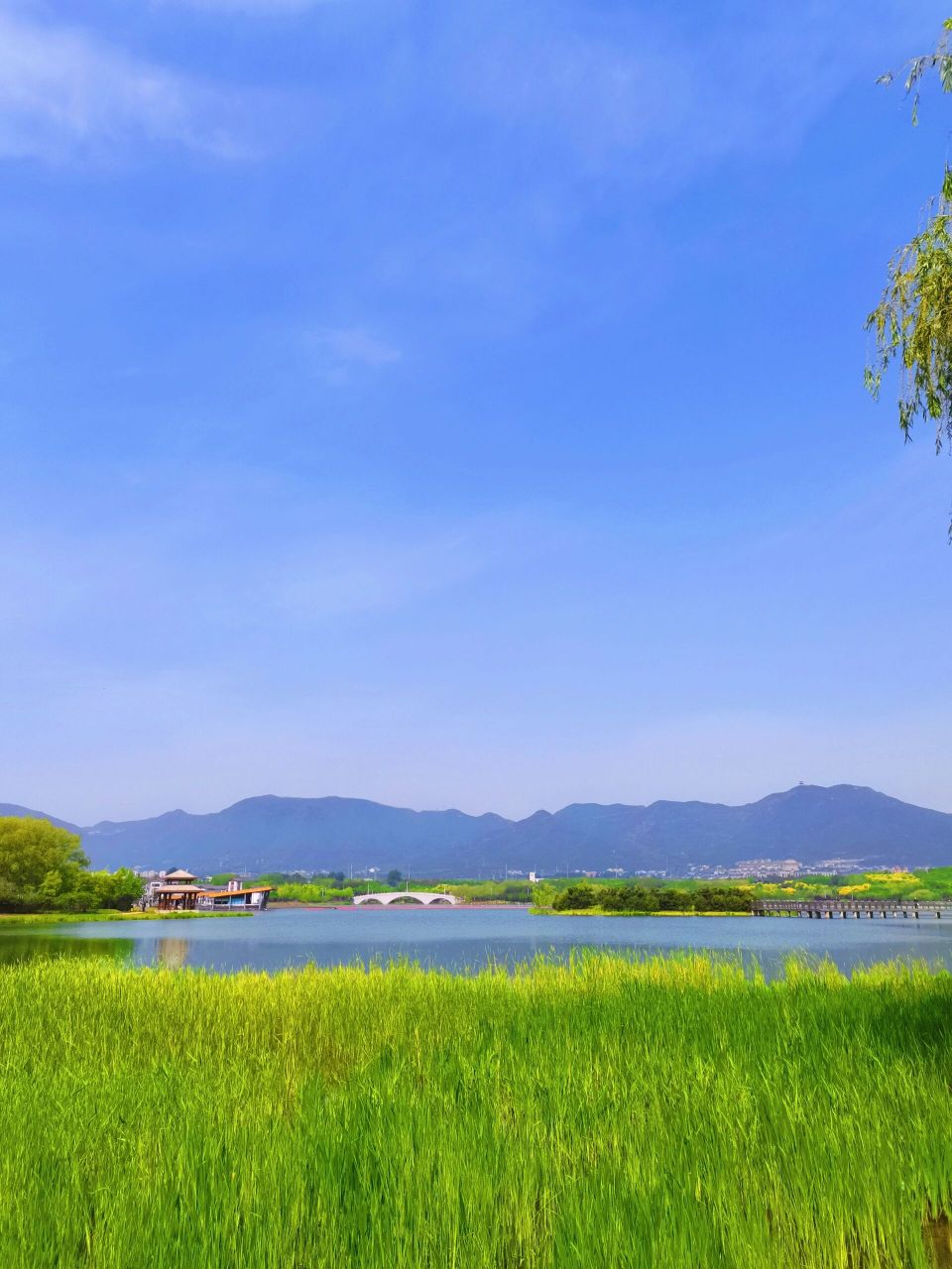龙泉湖湿地公园 环境优美,景色怡人.