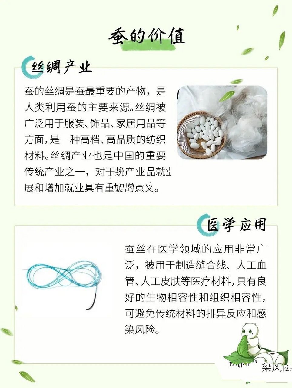 给孩子讲讲有关蚕宝宝的相关知识|自然科普  1661595认识蚕宝宝