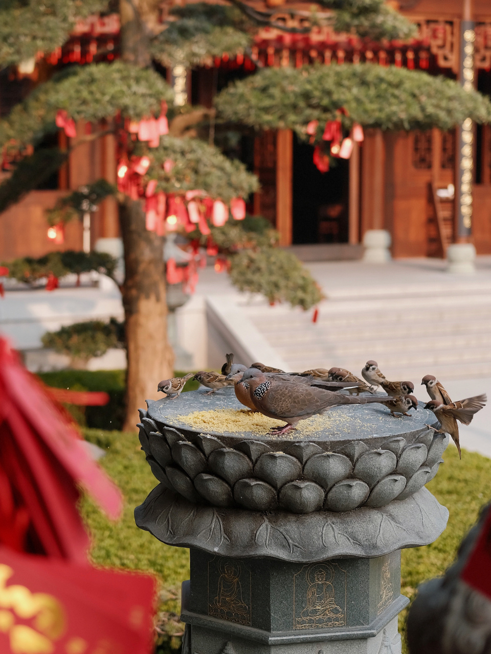 上海旅行03大隐隐于市的玉佛禅寺 玉佛寺,上海三大寺庙之一,龙华寺