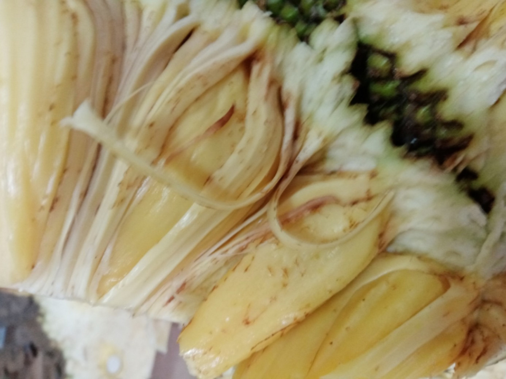 菠萝蜜有黑点 菠萝蜜果肉这样能吃吗?整个果子的果肉都是这样.