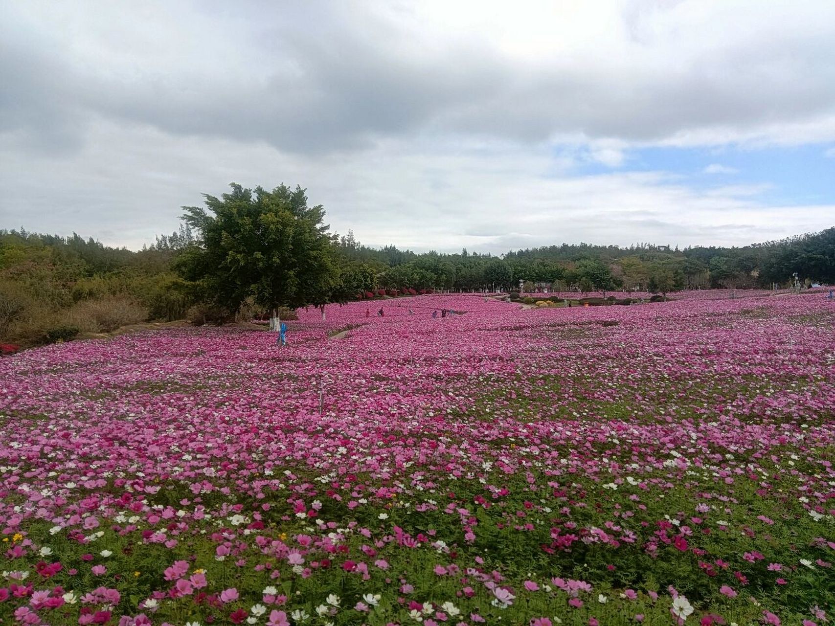 厦门周末好去处,翔安香山公园 香山公园位于福建省厦门市翔安区香山路