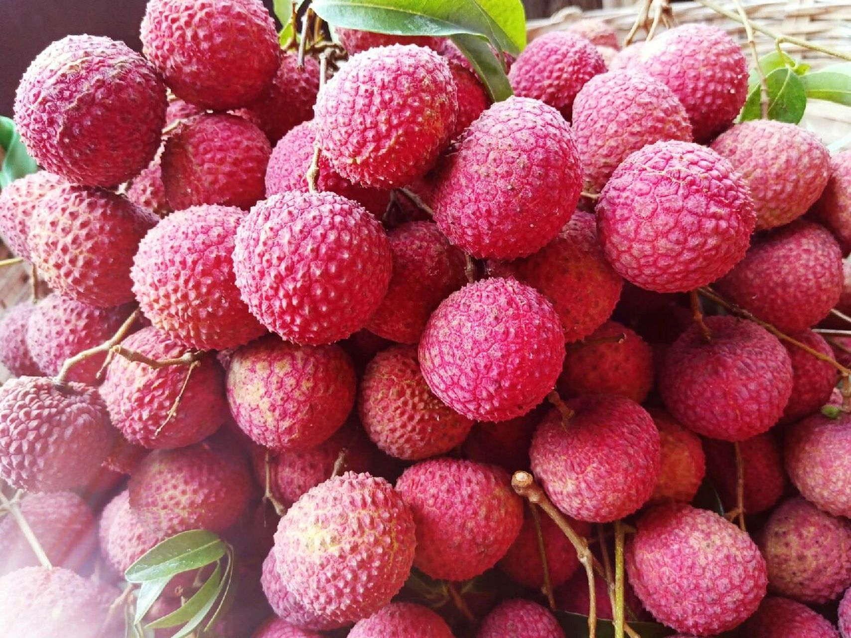 正宗香山鸡嘴荔枝 40元1斤包邮 香山鸡嘴荔