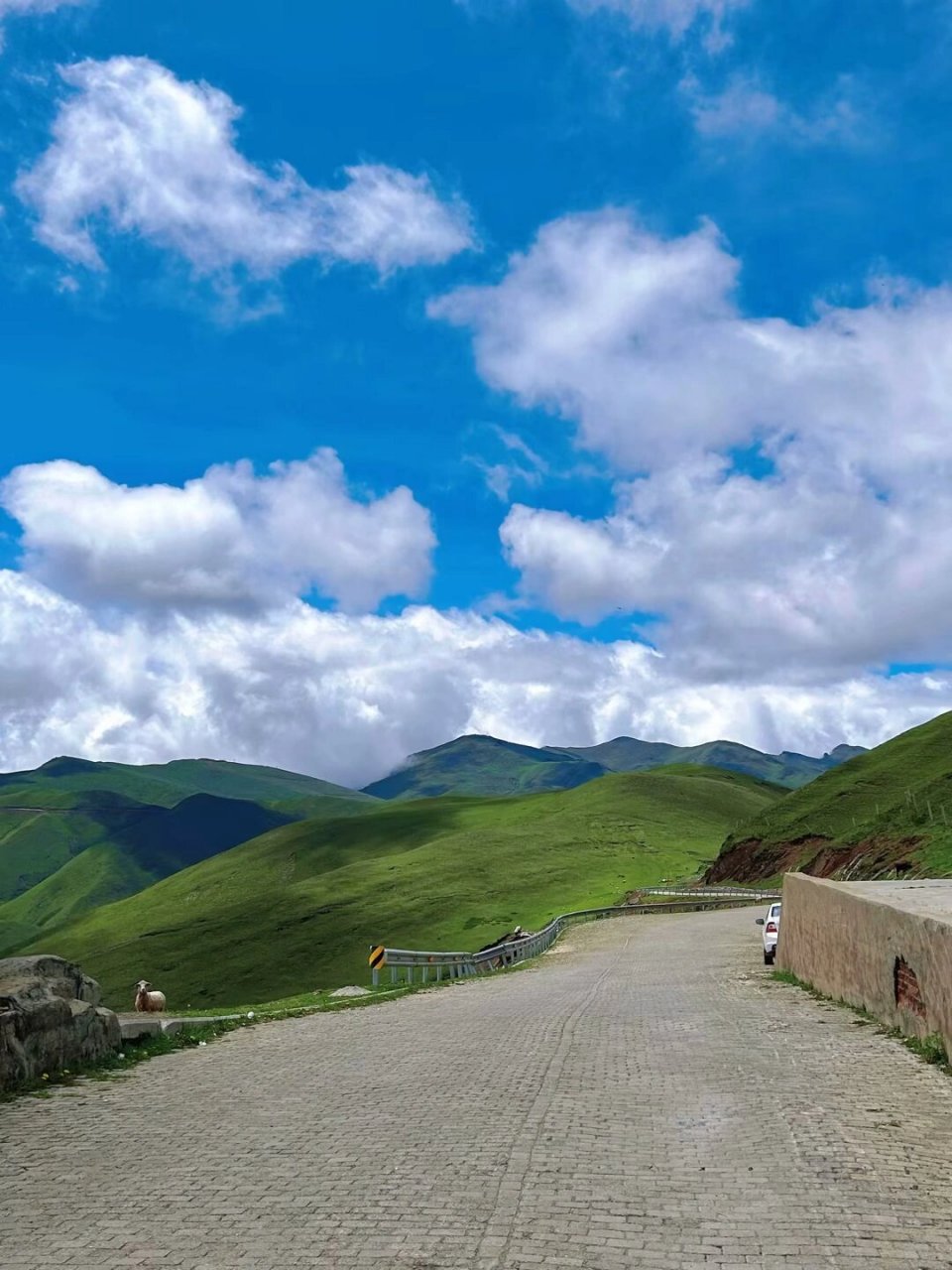 云南|曲靖市会泽县| 大海草山 和家人,朋友来一场三天两晚特种兵式